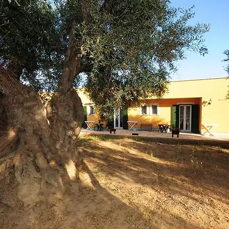 Li Fichi