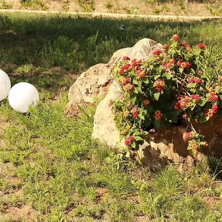 Bed & Breakfast Li Fichi *