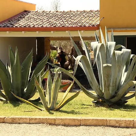 Li Fichi Bed & Breakfast *